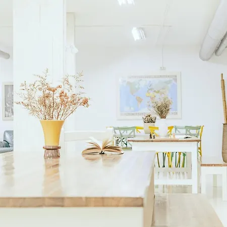 بيت شباب Aloxa *