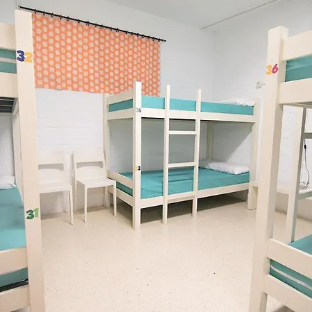 Aloxa * بونتيفيذرا